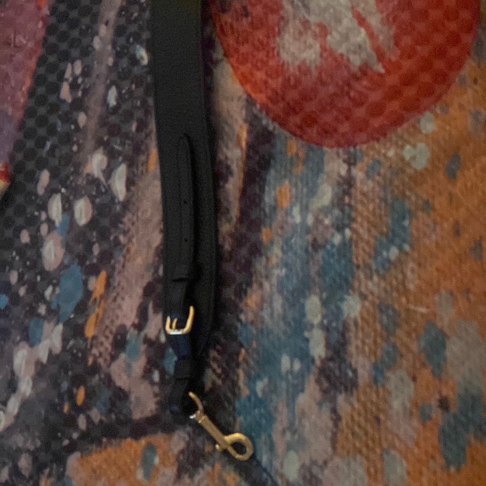 Coach purse strap